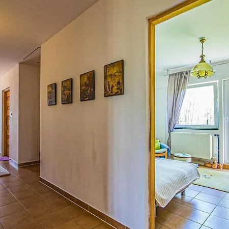 Pet Friendly In With Kitchen